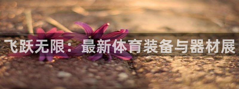 征途国际官方:飞跃无限:最新体育装备与器材展