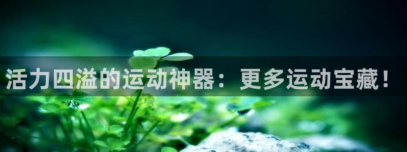 征途国际官网:活力四溢的运动神器:更多运动宝藏!